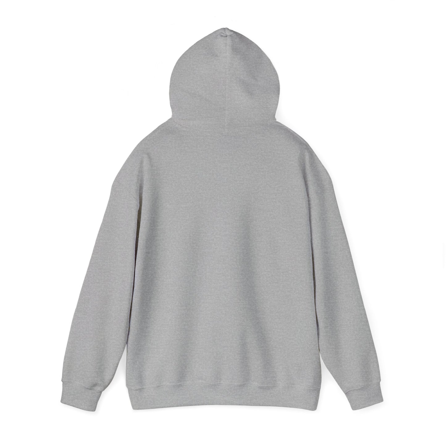 Unisex Heavy Blend™ Hooded Sweatshirt - V2